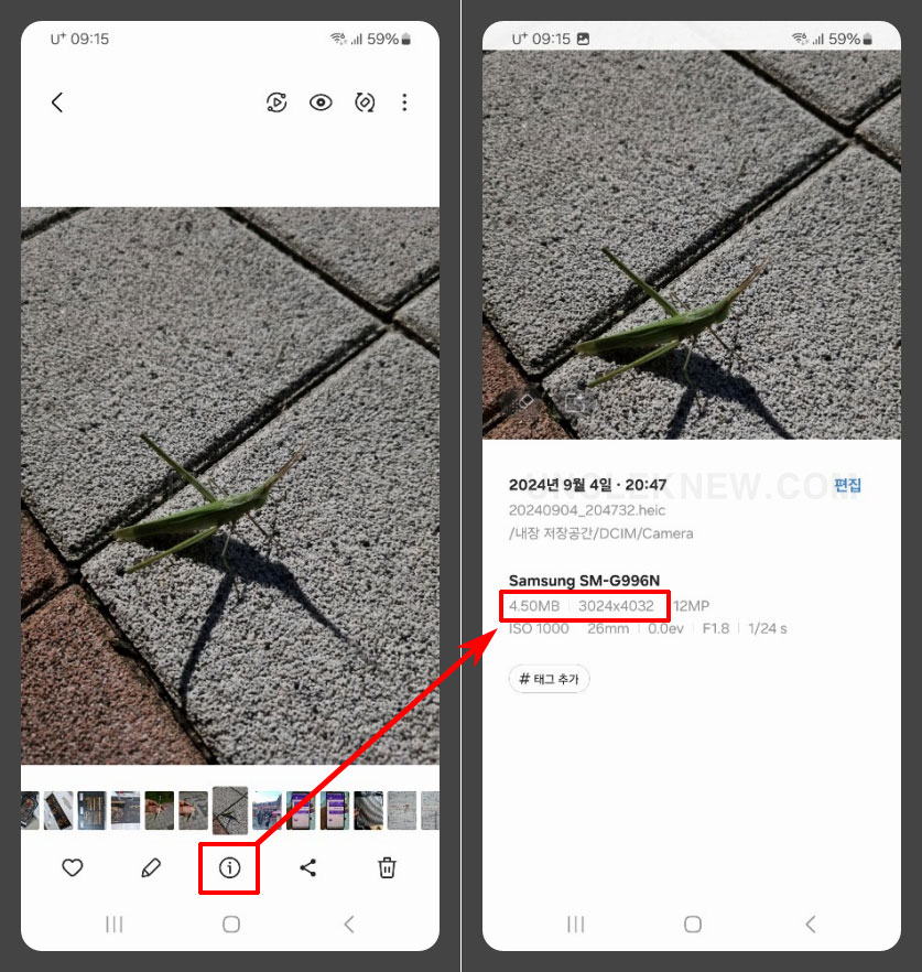 갤러리 사진 정보