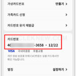 현대카드 번호 확인